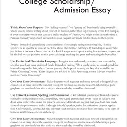 Splendid Free Sample Scholarship Essay Templates In Ms Word College