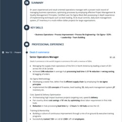 Eminent Resume Summary Guide To Writing Powerful Examples Analyst Administration Recruiter Operations