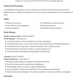 Excellent Example Of Professional Summary On Resume Free Letter Templates Experience Resumes Samples Template