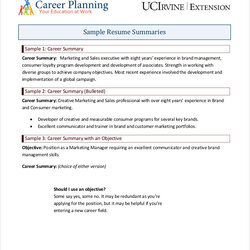 Superior Career Summary Examples Format Resume Basic Simple Example Williamson Ga