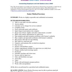 Wizard Job Summary Examples For Resumes Encouraged In Order To My Own Blog Responsibilities Duties