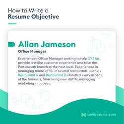 Terrific Real Life Resume Objective Examples How To Guide