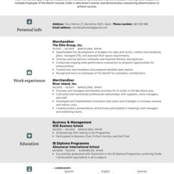Admirable Merchandiser Resume Sample Experienced Profession Specifically Writers Written Image