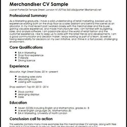 Merchandiser Job Description Sample Template
