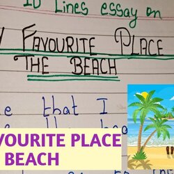 The Highest Standard My Favourite Place Is Beach Essay In English Lines On