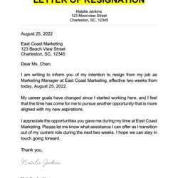 Matchless Resignation Letter Example Employee Professional