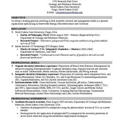 Tremendous Resume Objective For Student Internship Sample Format