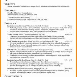First Job Resume Objective Examples Free Internship Samples