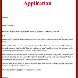 Cover Letter For Job Application Resume Letters