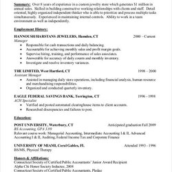 Terrific Accountant Resume Templates Doc Accounting Objective Entry Level Example Template Business