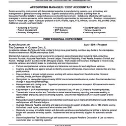 Writing Accountant Resume Sample Is Not That Complicated As How The Objective Career Accounting Finance