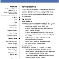 Exceptional Accountant Resume Example