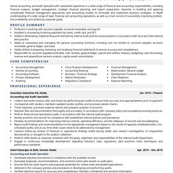 Spiffing Accounting And Audit Specialist Resume Examples Template With Job