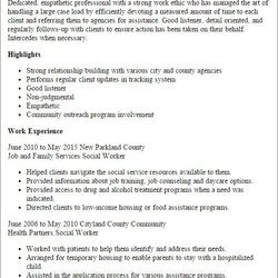 Resume For Social Work Cool And Elegant Professional Worker