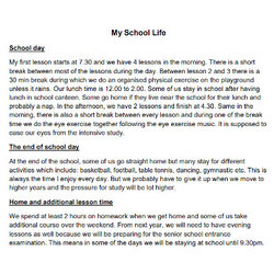 Wonderful Application Essay Examples High School Life Example