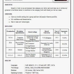 Out Of This World Resume Examples Marital Status Set