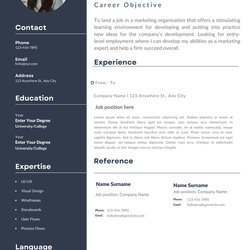 The Highest Standard How To Write Career Objective In Resume Tips