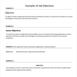 Perfect Sample Resume Objectives Doc Objective Width
