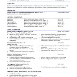 Cool Free Sample Nursing Student Resume Templates In Ms Word Experience Clinical