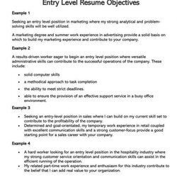 Splendid Entry Level Resume Objective Examples Outline Ideal