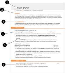 Champion Stand Out Resume Examples Quality