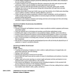 Sample Resume Microsoft Excel Experience Free Samples Examples Manufacturing Team Lead