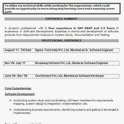 Microsoft Certified Professional Resume Format Formats Free Download