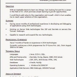 Preeminent Official Resume Format