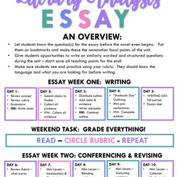 High Quality The Literary Analysis Essay Guide Mud And Ink Teaching Teacher Click Levels Overview