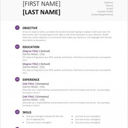 Wonderful Free Resume Template Microsoft Office Surprising Templates Example
