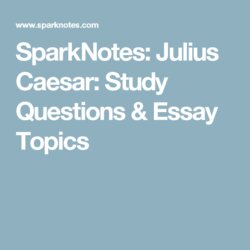 Capital Julius Caesar Study Questions Essay Topics