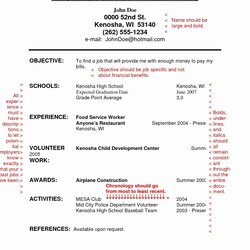Academic Resume Template For Students Objective Sample Italics Vitae Resumes Write Statements