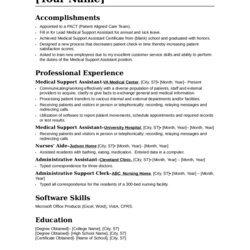 Splendid Resume Objective Examples Printable Forms Edit