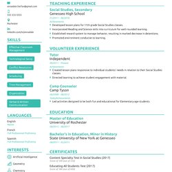 Wizard Teacher Resume Examples Mt Home Arts Example Sample Guide