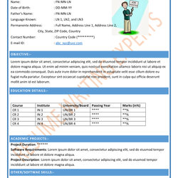 Splendid Curriculum Vitae Format Best Formats Resume Sample Examples Template Samples Example Accountant Word