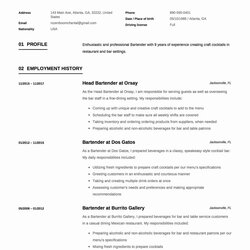 Superb Best Bartender Resume Examples For Your School Lesson