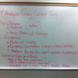 Perfect Rhetorical Essay Outline Example Analysis