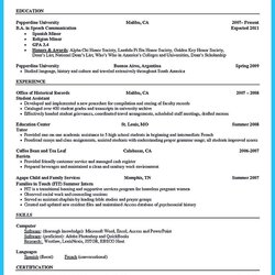 Super Nice Sophisticated Resume Sample That Leads To Jobs