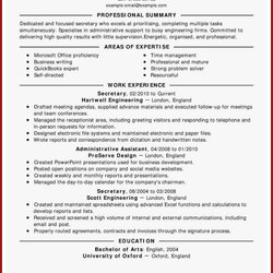 Cool Best Resume Template Examples