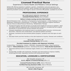 Exceptional Resume Template Examples