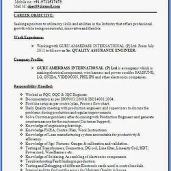Terrific Curriculum Vitae Word Free Resume Templates
