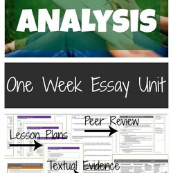 Terrific Teach Literary Analysis Essay Writing To High School Students Conclude