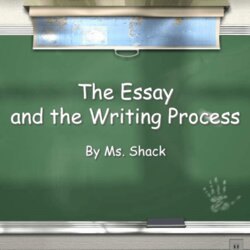 The Essay Revised
