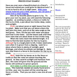 Legit Good Argumentative Paper Topics For High School Essay Writer Writing Process Examples Example Method