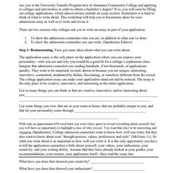 Excellent College Application Essay Examples Format Template