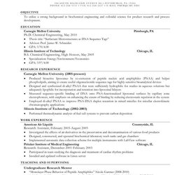 Superlative Engineering Resume Objective Template Business To Get Ideas How Make Mesmerizing