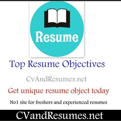 Out Of This World Engineering Resume Year Experience Objective Example Gallery