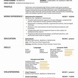 Magnificent Academic Resume Template High School