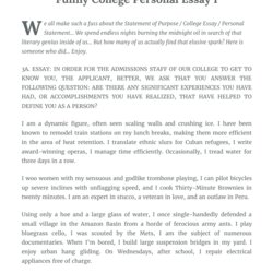 High Quality Funny College Personal Essay Templates At Template