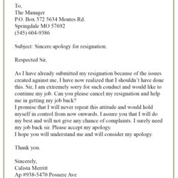 Capital Apology Letter To Boss For Misbehavior Collection Template Resignation Source